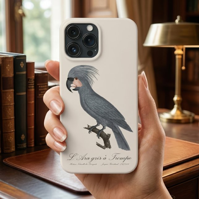 Coques Case-Mate iPhone Palmiste noir, Probosciger aterrimus (Great Black Palm Cockatoo, Probosciger aterrimus. iPhone Case)