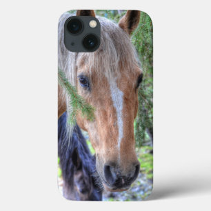Coques Pour iPhone Palomino Paint Horse et Branches pour les amateurs