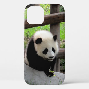 Coque Case-Mate iPhone panda