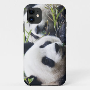 Coques Pour iPhone Panda Bear Hugs