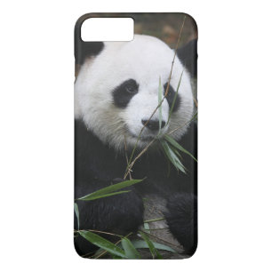Coques Pour iPhone Panda géant