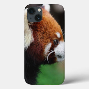 iPhone 13 Case Panda rouge