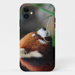 Etui iPhone Case-Mate Panda rouge