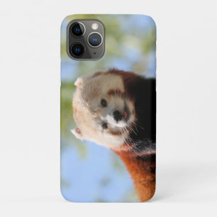 Case-Mate iPhone Case Panda rouge