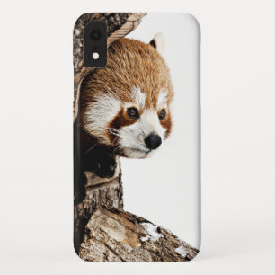 Case-Mate iPhone Case Panda rouge en regardant d'un tronc d'arbre