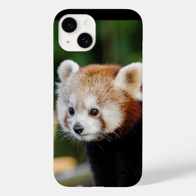 Coques Case-Mate iPhone Panda roux animal sauvage (Verso)