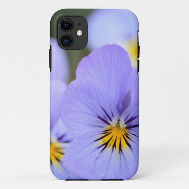 Coques Case-Mate iPhone Pansies bleu pâle (Dos)
