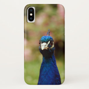 Case-Mate iPhone Case Paon