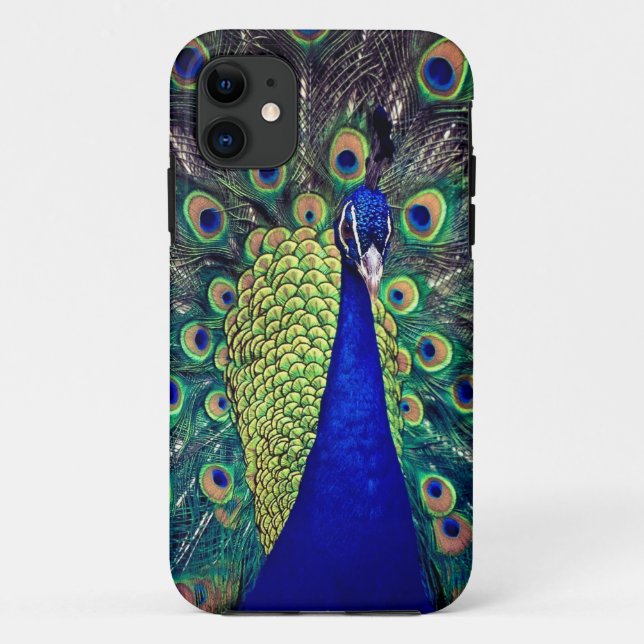 Coques Case-Mate iPhone Paon bleu cobalt (Dos)