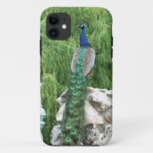 Coque iPhone 11 Paon dans une caisse de Se d'iPhone de jardin