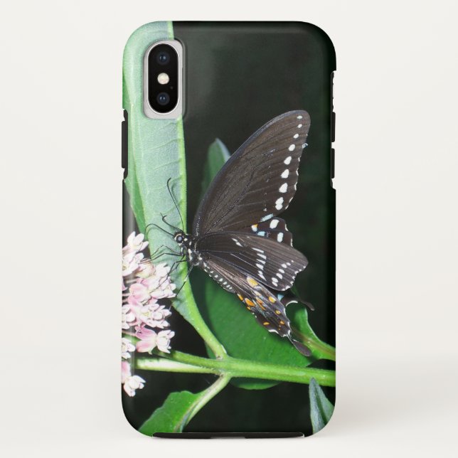 Coques Case-Mate iPhone Papillon de nuit noir à Shenandoah (Dos)