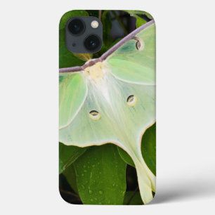 Coques Pour iPhone Papillon Luna sur Clématite de Carnaby