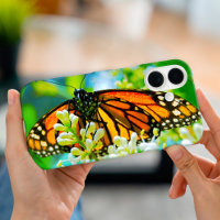 Papillon monarque orange photo design moderne auda