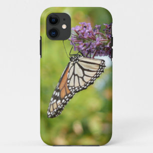 Coque iPhone 11 Papillon Monarque sur papillon pourpre Bush