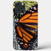 Papillon monarque sur verdure