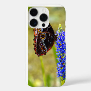 Coque iPhone 16 Pro Papillon morpho bleu sur une orchidée de marais