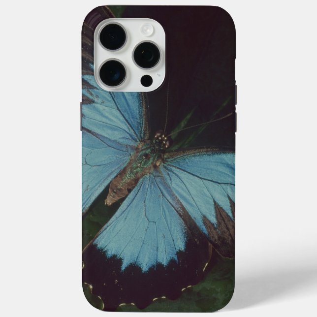 Coques Case-Mate iPhone Papillon noir et bleu (Verso)