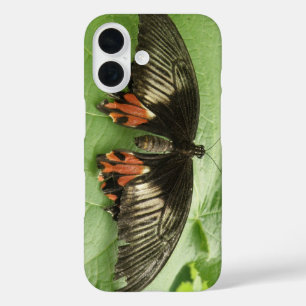 Coque Pour iPhone 16 Papillon noir, rouge et or joli