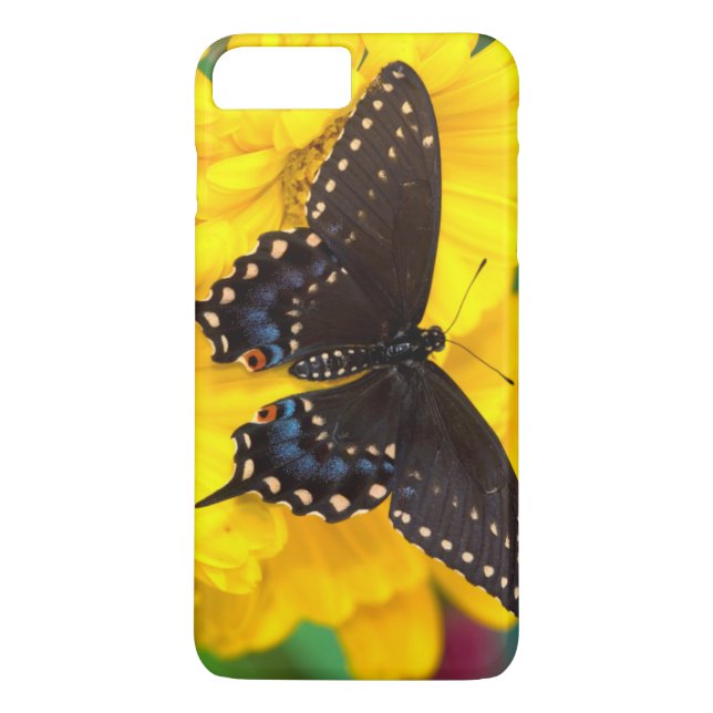 Coques Case-Mate iPhone Papillon Papilio polyxenes (Dos)