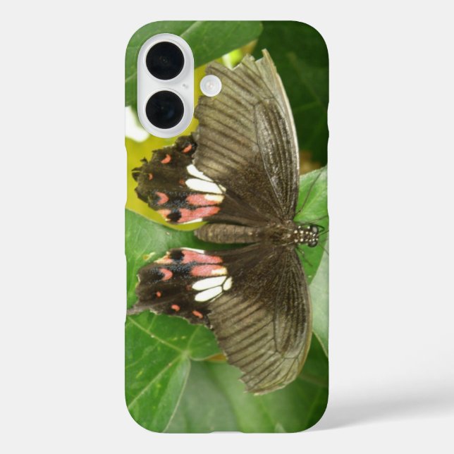 Coques Case-Mate iPhone Papillon porte-queue écarlate (Verso)