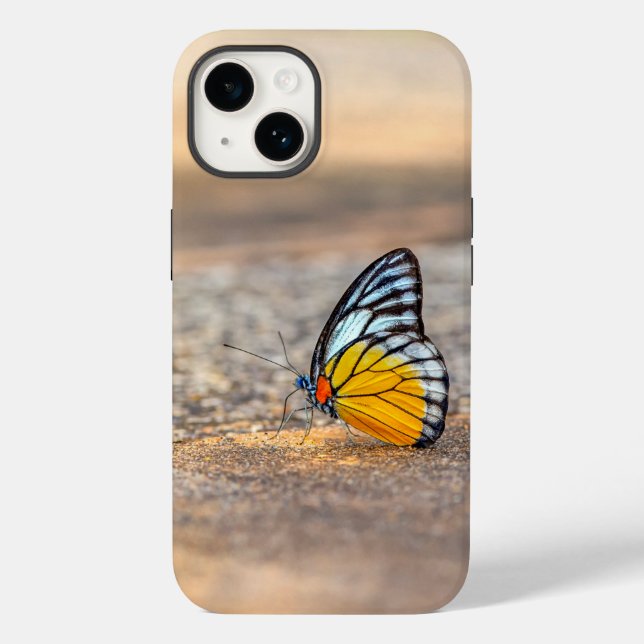 Coques Case-Mate iPhone Papillon sur la plage (Verso)