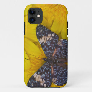 Case-Mate iPhone Case Papillon sur une fleur jaune