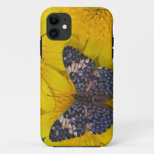 Coque Case-Mate iPhone Papillon sur une Fleur Jaune
