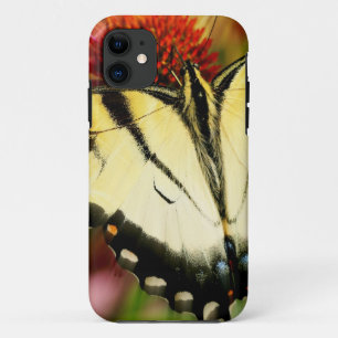 Coques Pour iPhone Papillon Swallowtail