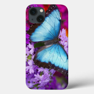 iPhone 13 Case Papillon tropical 7 de Sammamish Washington