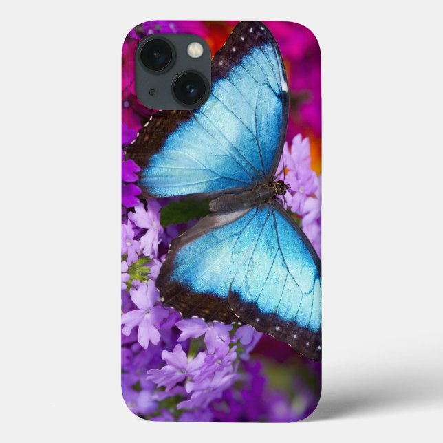 Coques Case-Mate iPhone Papillon tropical 7 de Sammamish Washington (Verso)