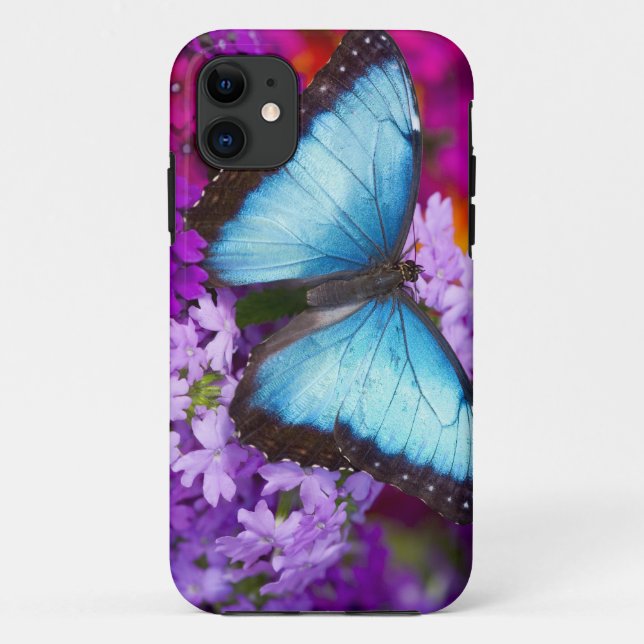 Coques Case-Mate iPhone Papillon tropical de Sammamish Washington (Dos)