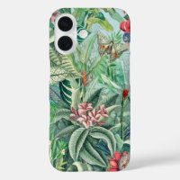 Paradis tropical