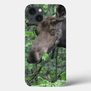Coque Case-Mate iPhone Parc animalier nordique de l'orignal Paix Espoir A