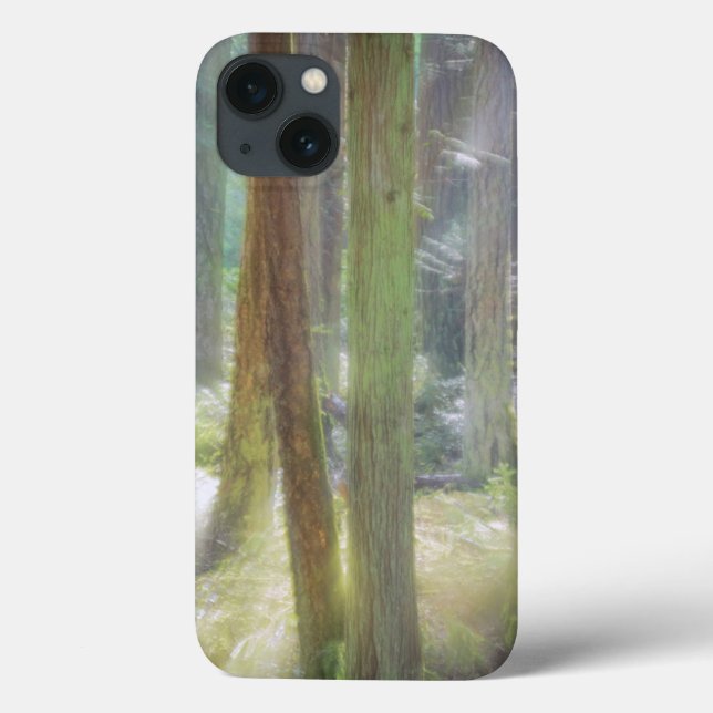 Coques Case-Mate iPhone Parc d'état de Pittoresque Beach (Verso)