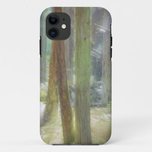 Coque iPhone 11 Parc d'État de Scenic Beach