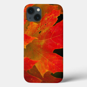 Etui iPhone Case-Mate Parc d'état d'Itasca, automne 2