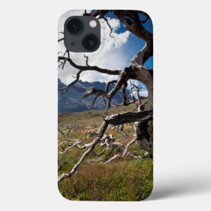 iPhone 13 Case Parc national de Torres del Paine, arbres endommag