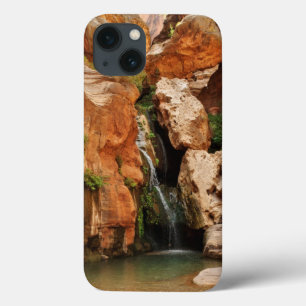 Etui iPhone Case-Mate Parc national du Grand Canyon, Arizona