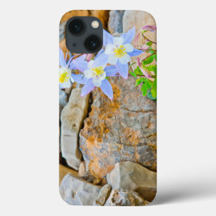 iPhone 13 Coque Parc national du Grand Teton 1