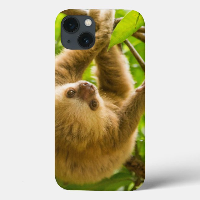 Coques Case-Mate iPhone Paresse à l'envers des images | de Getty (Verso)