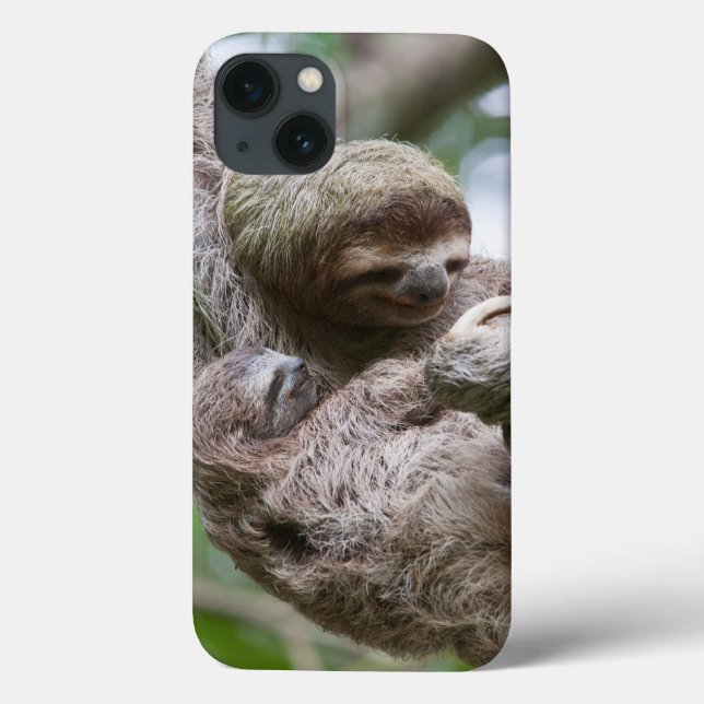 Coques Case-Mate iPhone Paresseux bébé avec sa mère suspendue à un arbre (Verso)