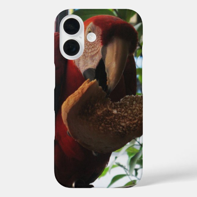 Coques Case-Mate iPhone Parrot Macaw Scarlet Manger Toast (Verso)