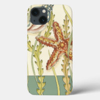 Partie Shell multicolore