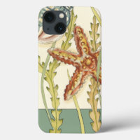 Partie Shell multicolore