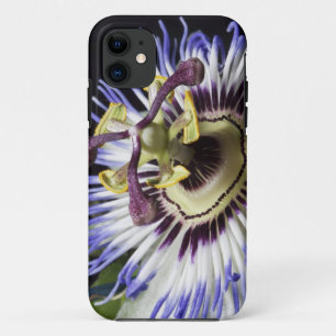 Coques Pour iPhone Passiflore en gros plan (MR)