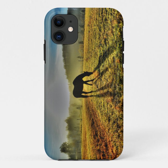 Coques Case-Mate iPhone Pâturage à cheval au lever du soleil dans le champ (Dos)