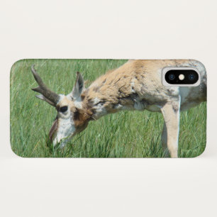 Coque Case-Mate Pour iPhone Pâturage d'antilope à pronghorn A11