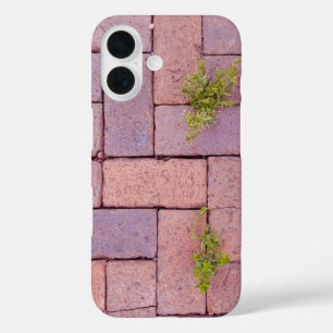 Coque Pour iPhone 16 Pavés et mauvaises herbes dans le passage photogra