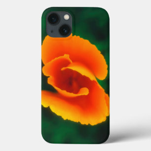 Coques Pour iPhone Pavot de Californie