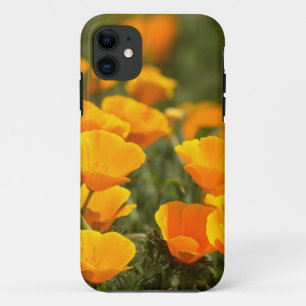 Coques Pour iPhone Pavots de Californie, Montana de Oro State Park